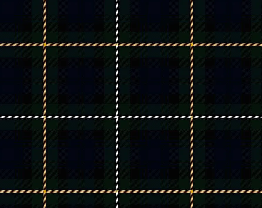 Campbell of Argyll Modern Tartan Scarf